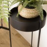 DALY Round Plant Stand - Black Metal Base | Minimalist Decor