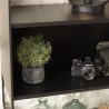 DALY Shelf Unit with 5 Compartments and 5 Levels - Black Metal Base
