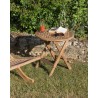 Premium Teak Wood Picnic Table 50x50cm - Durable Outdoor Furniture