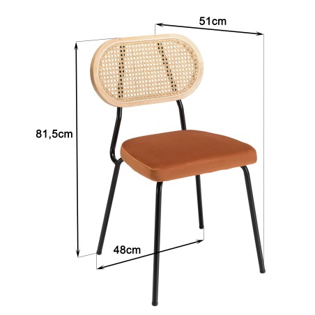 Lot de 2 chaises AGATHE en métal noir