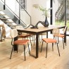 Lot de 2 chaises AGATHE en métal noir