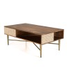 ALIX - Rectangular Mango Wood Coffee Table with 2 Niches