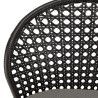 Lot de 2 chaises MALO rotin synthétique noir