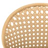 Lot de 2 chaises rotin synthétique MALO