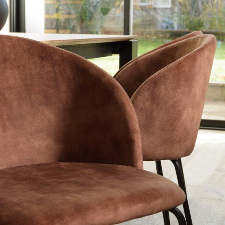 Lot 2 chaises velours acajou TOM - Confort et élégance
