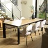 TOM - Set of 2 Beige Velvet Chairs