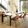 Lot 2 chaises velours acajou dossier ouvert