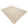 Quentin Rectangular Rug 160x230cm - Beige Looped Wool