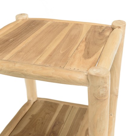 WILL 1-Tier Shelf with 2 Doors - Natural Teak Branches