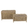 KALLY - Set of 2 Rectangular Storage Chests in Natural Kubu