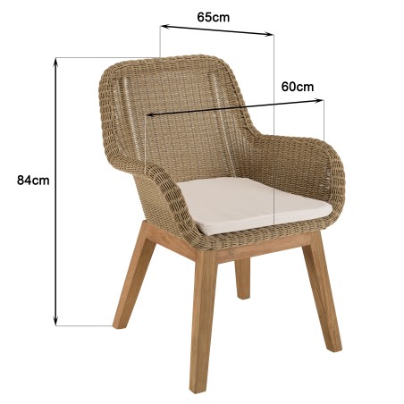 Lot 2 fauteuils jardin rotin synthétique KALLY