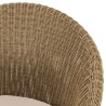 Lot 2 fauteuils jardin rotin synthétique et coussin