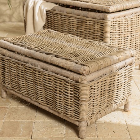 KALLY - Set of 2 Rectangular Storage Chests in Natural Kubu