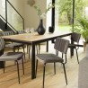 Lot 2 chaises velours gris foncé AGATHE