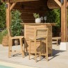 Lot de 2 tabourets bar de jardin teck rotin beige