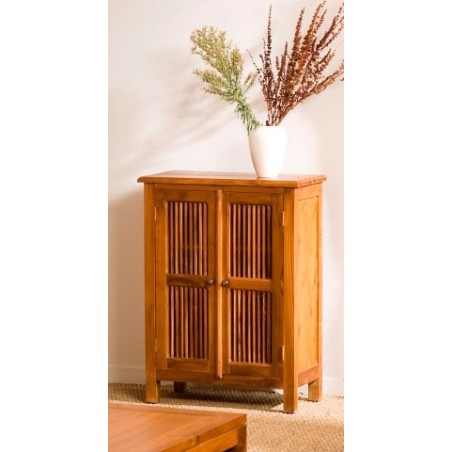 API Brown Cabinet with 2 Louvered Doors in Teak Wood