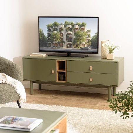 Meuble TV 1 porte, 2 tiroirs et 2 niches en bois vert | Seconde Main