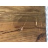 SANDY - Sideboard with 4 Doors Recycled Pine Wood | Functional and Elegant Storage Solution