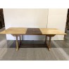 SECONDE MAIN - Table de jardin 8/10 personnes