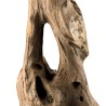 CLARA - Natural Teak Branch Decorative Object ’M’