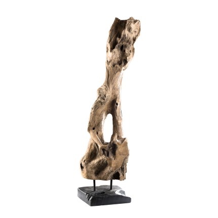 CLARA - Natural Teak Branch Decorative Object ’M’