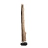 CLARA - Natural Teak Branch Decorative Item 'L'