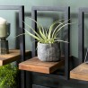 SIXTINE Wall Shelf 'XS' - Recycled Teak Shelf with Black Metal Frame