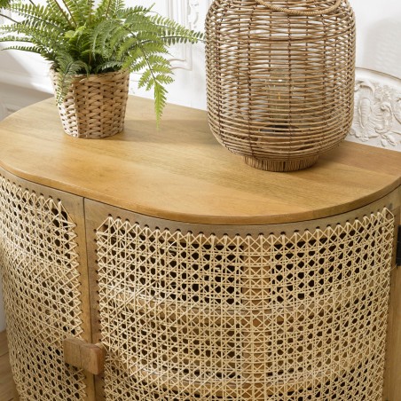 ISA Brown 2-door Sideboard in Mango Wood